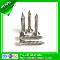 Especial personalizado aço inoxidável Flat Head Self Tapping Screw